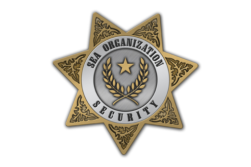 Gold Star Lapel Pin Designed for New Scientology Division