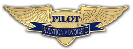 Pilot Wing Lapel Pins Identify Members of a Respectful Profession