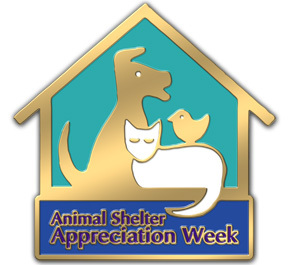 National Animal Shelter Appreciation Week Lapel Pins