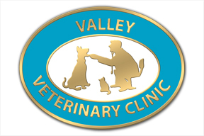 Vet Clinic Lapel Pins Help Promote Medical Services