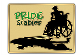 Custom Lapel Pins for Your Riding Stables