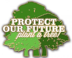 Creating Custom Lapel Pins for Your Environmental Cause