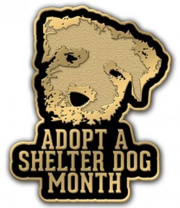 Adopt a Shelter Dog Month Custom Lapel Pins