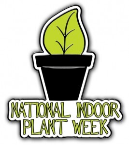 Promote Your Greenhouse with National Indoor Plant Week Custom Lapel Pins