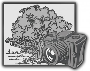 Showcase Your Nature Photography Skills with Custom Lapel Pins