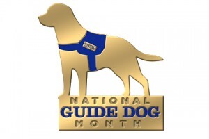 National Guide Dogs Month Custom Lapel Pins