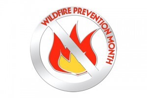 Prevent Wildfires with Custom Lapel Pins