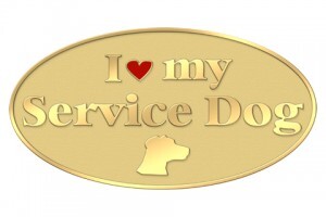 Service Dog Lapel Pins Show Off the Skills of the Amazing Creatures