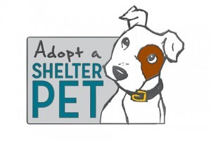 Use Custom Lapel Pins to Save Homeless Animals